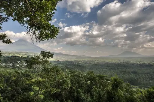 Découvrir Virunga 